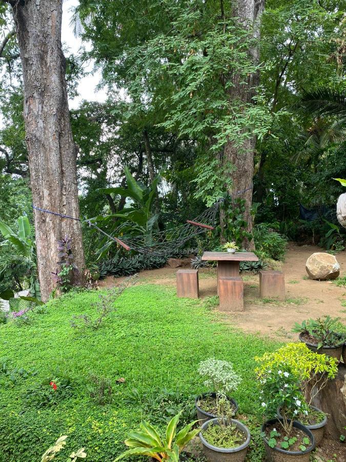 Pearl'S Homestay Matale Luaran gambar