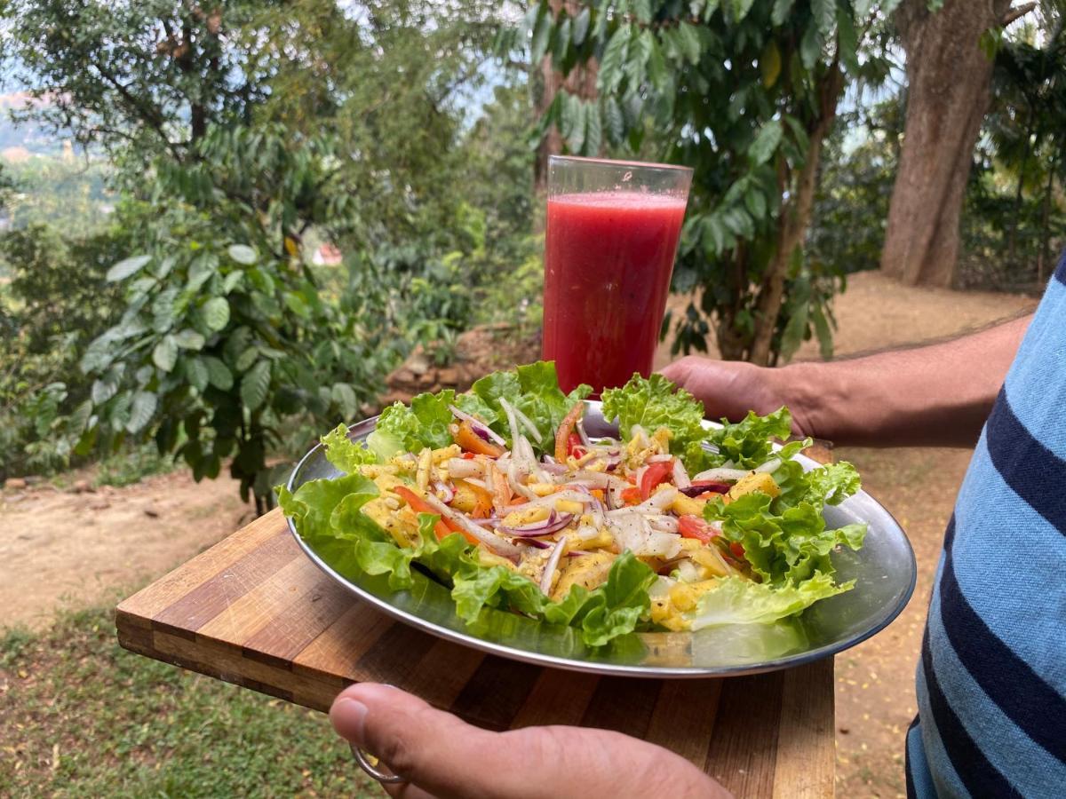 Pearl'S Homestay Matale Luaran gambar