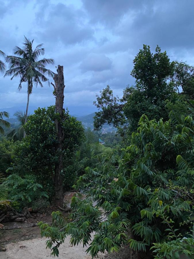 Pearl'S Homestay Matale Luaran gambar