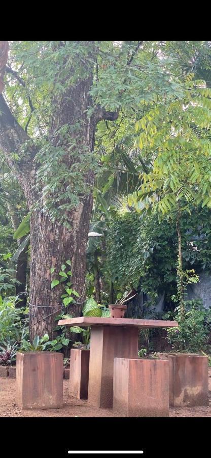 Pearl'S Homestay Matale Luaran gambar